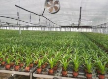 智能溫室墻體坡度的注意事項