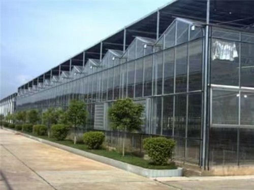 玻璃溫室