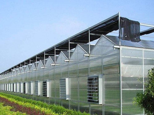 陽(yáng)光板溫室