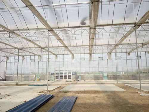 智能薄膜連棟溫室