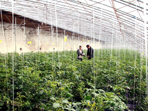 生態(tài)果蔬采摘園